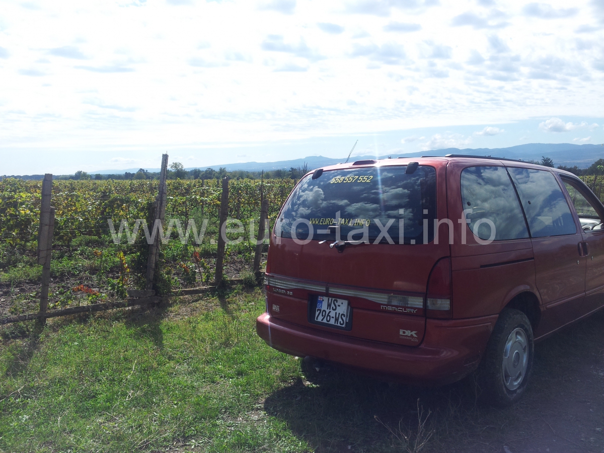 Mercury in the wineyards